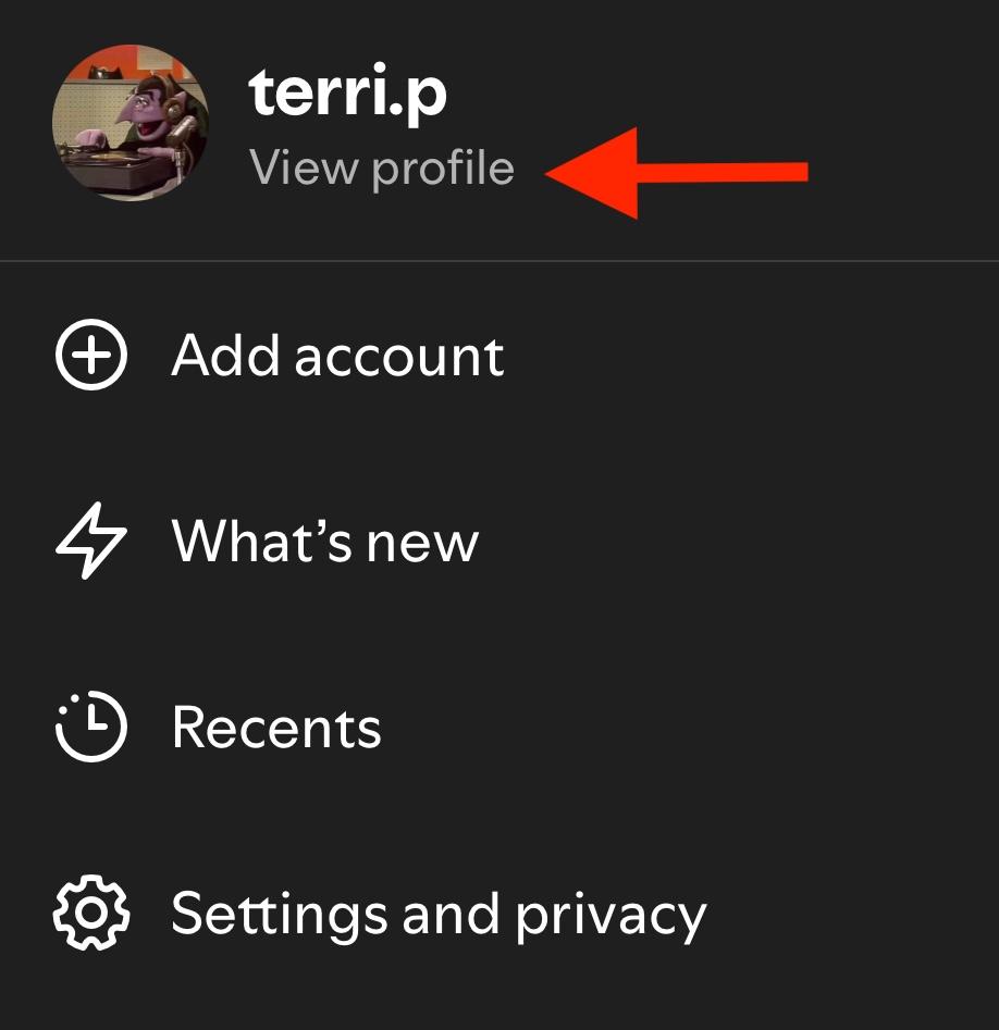 Can You See Who Views Your Spotify Profile?